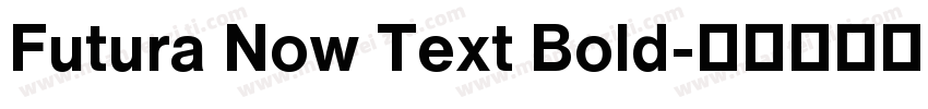Futura Now Text Bold字体转换
